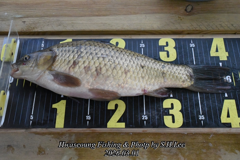 6����ȣ�� (2).JPG