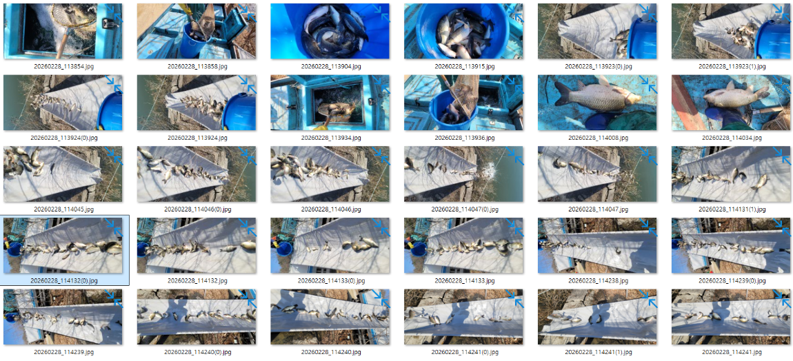 �̹��� 1.png