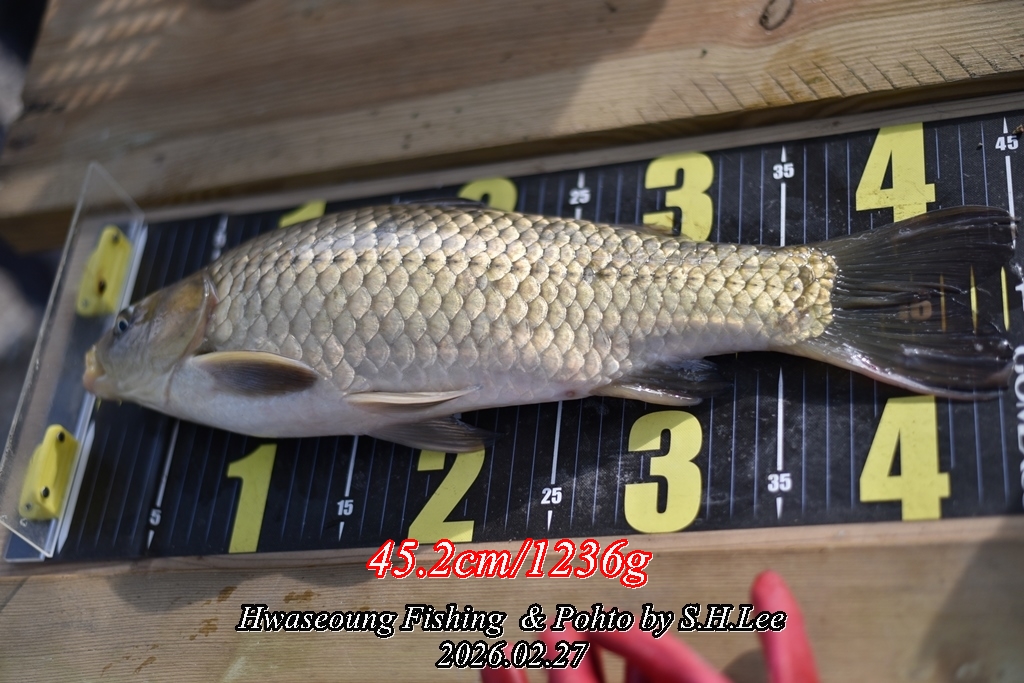 1��ȫ���� (4).JPG