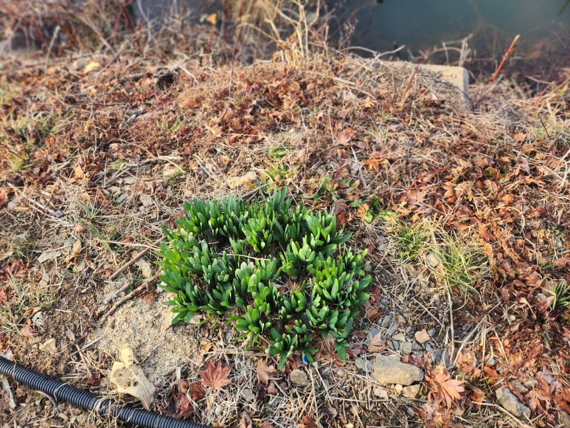 KakaoTalk_20260311_095732418_02 (1).jpg