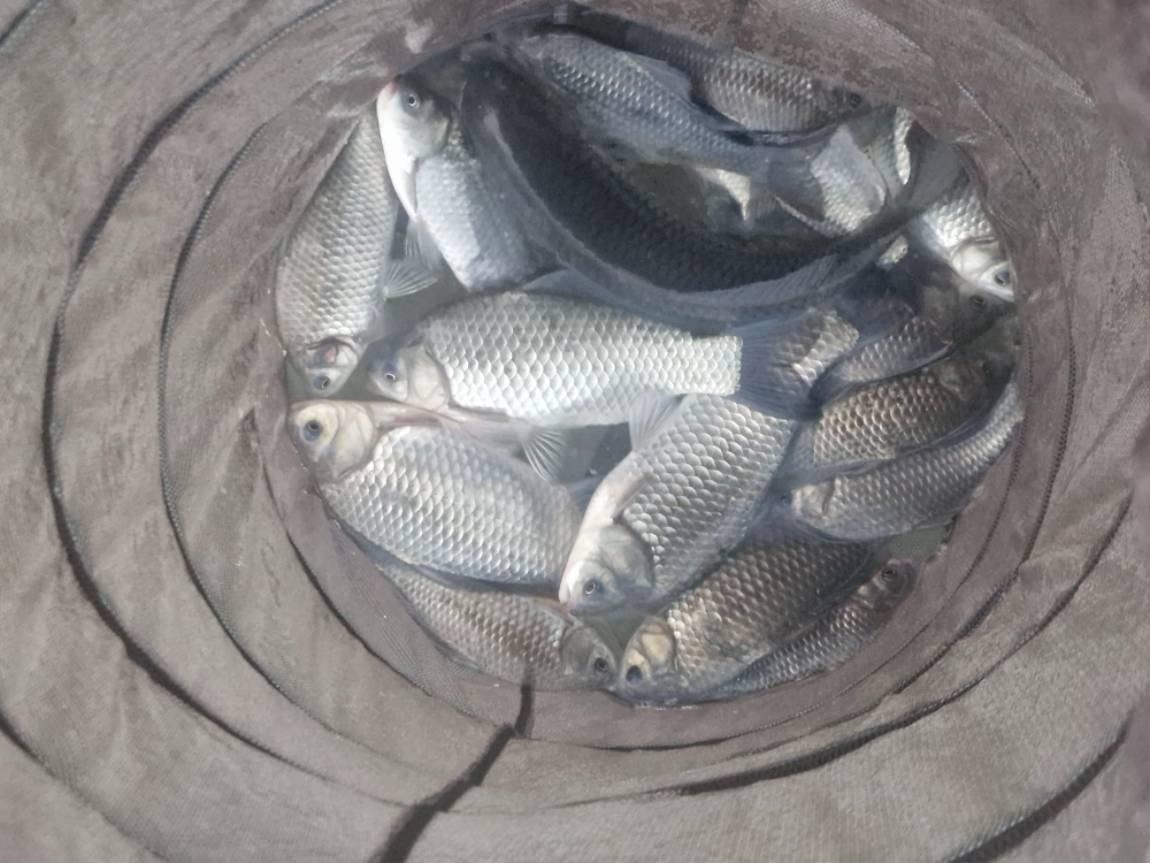 20260311_182640 (1).jpg