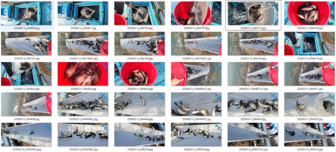 �̹��� 1.png