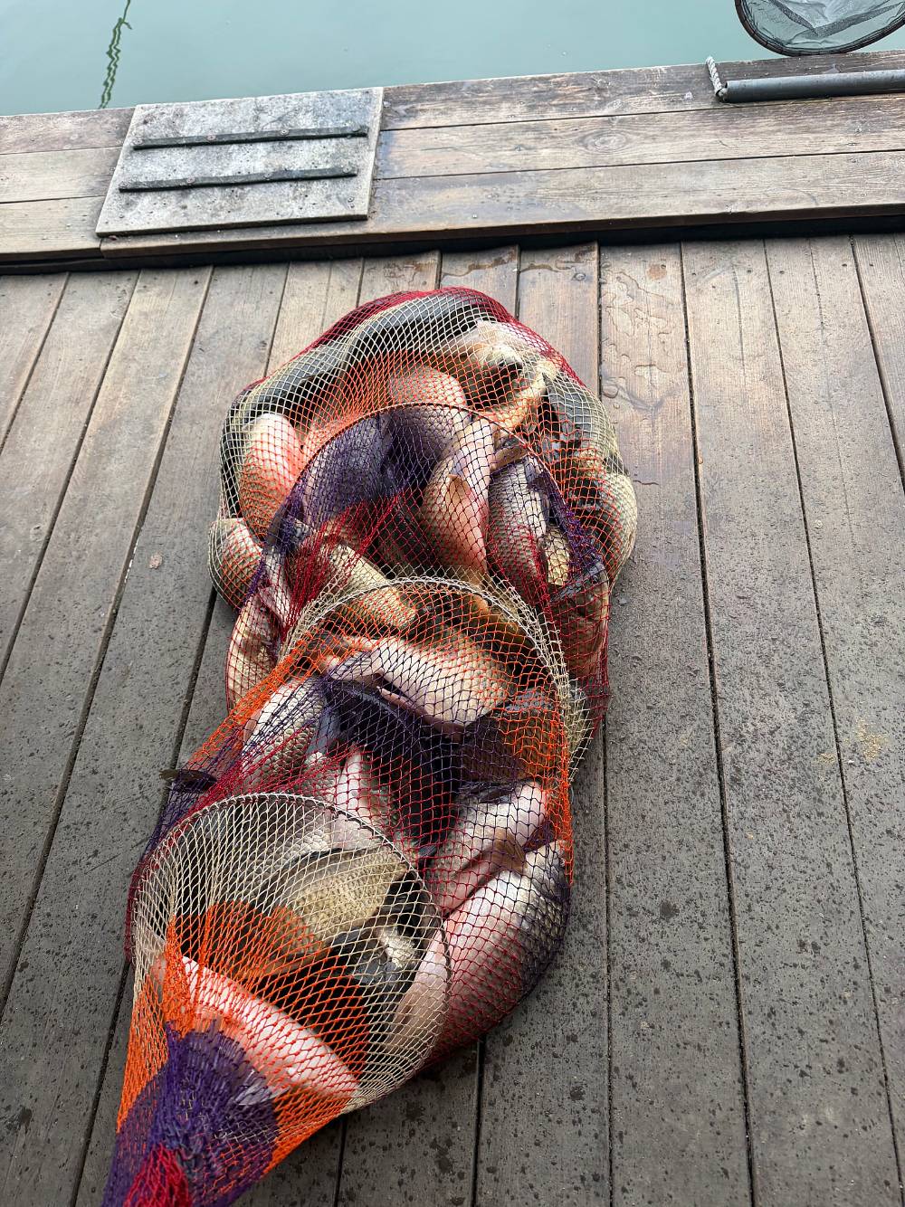 IMG��0953 (1).jpg