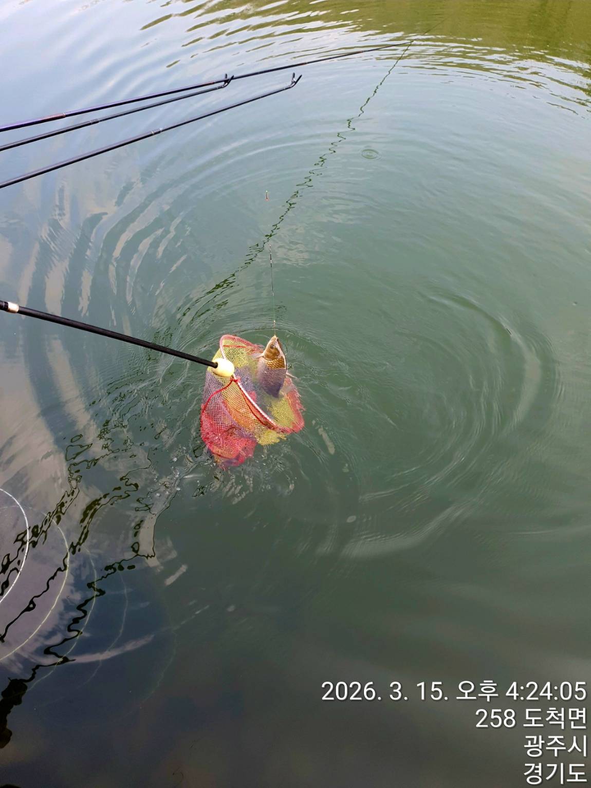 1280��TimePhoto��20260315��162405 (1).jpg