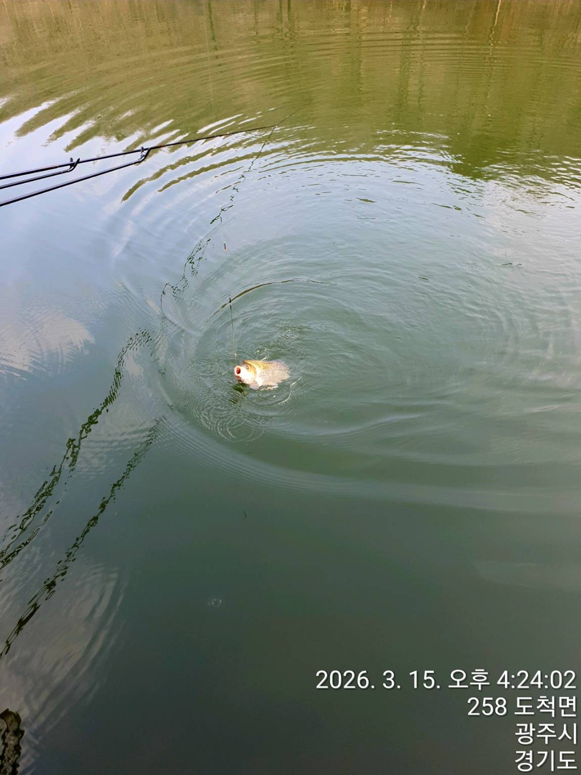 1280��TimePhoto��20260315��162402 (1).jpg