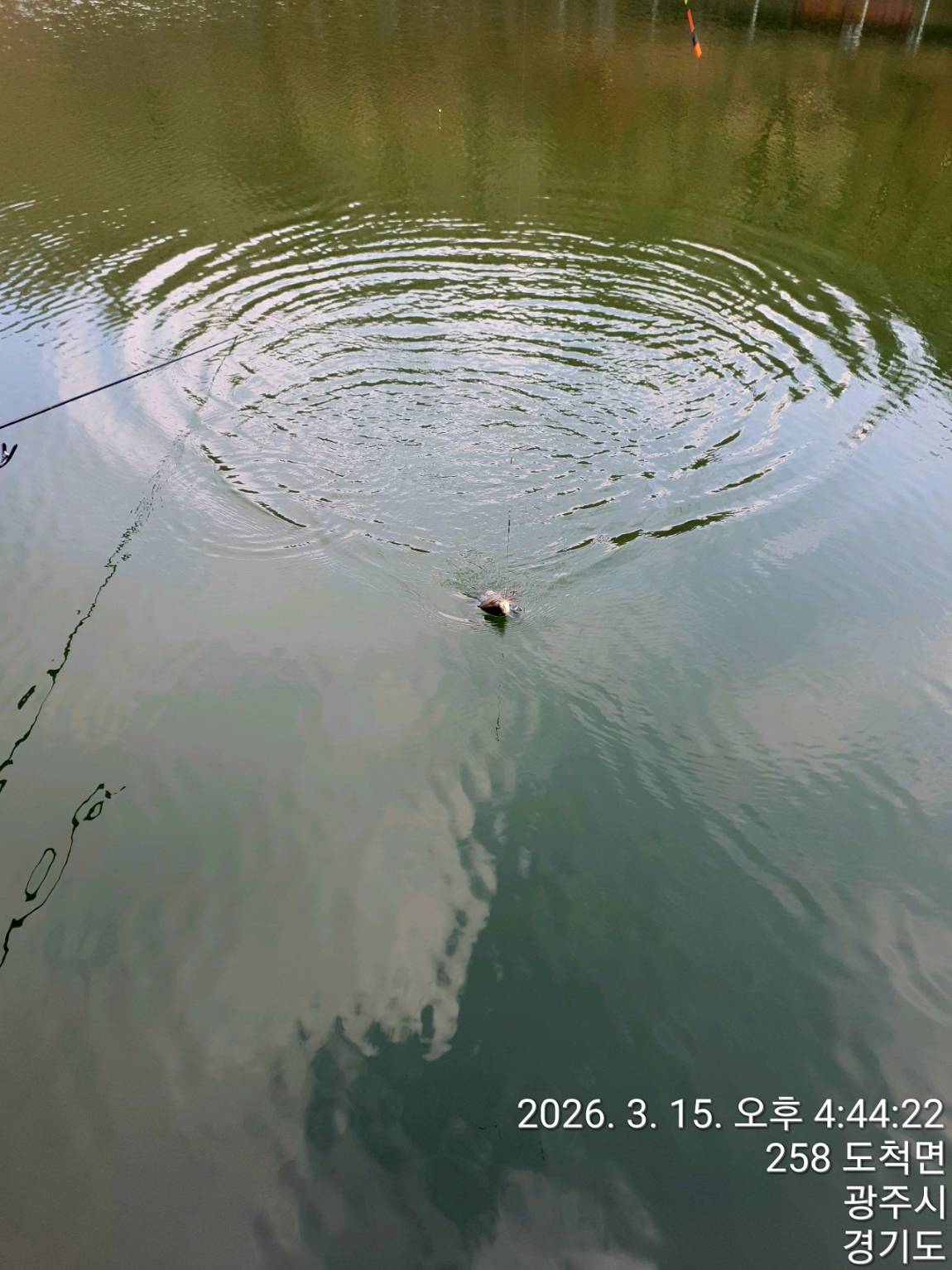 1280��TimePhoto��20260315��164422 (1).jpg