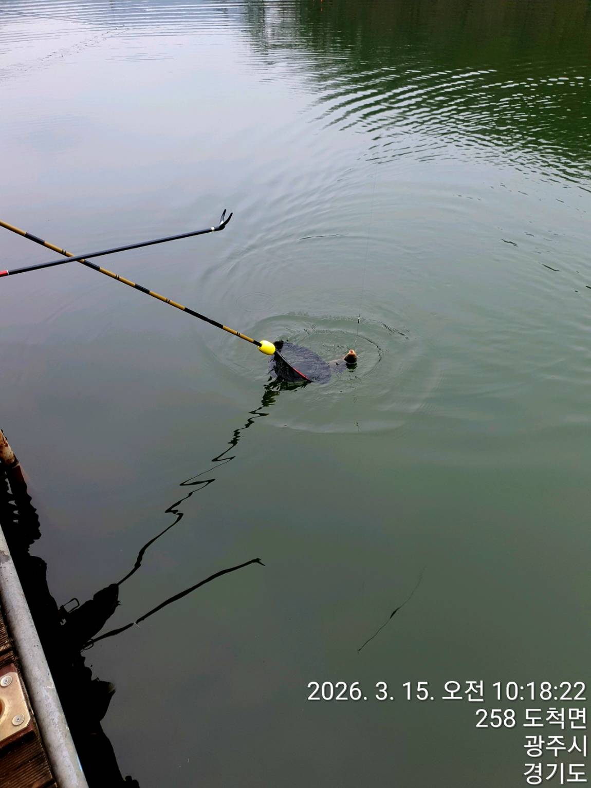 1280��TimePhoto��20260315��101822 (1).jpg