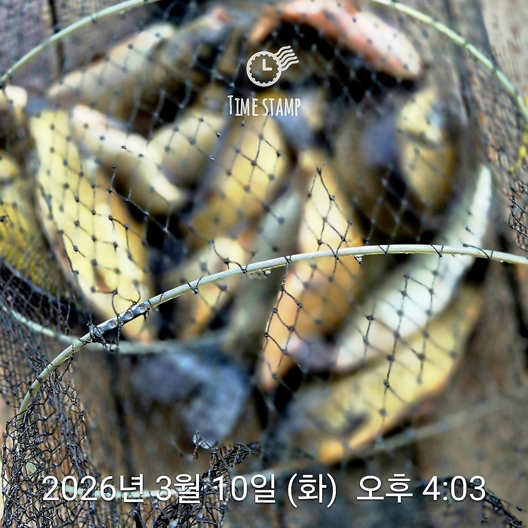 1773129144224 (1).jpg