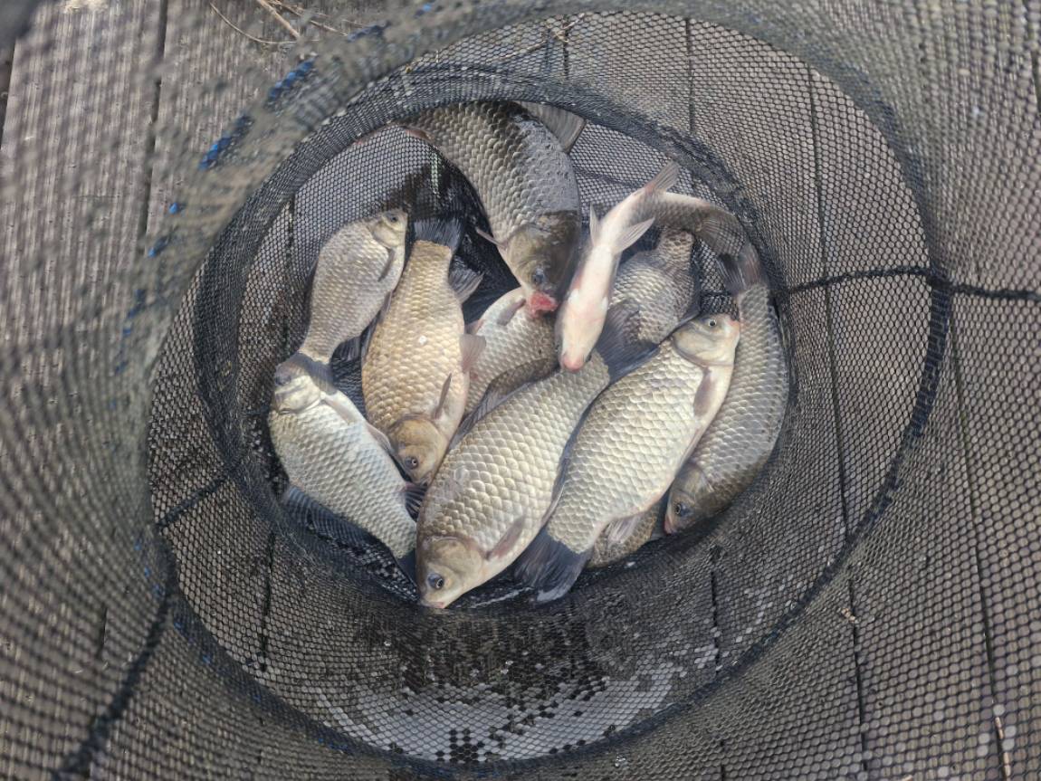 20260315_083742 (1).jpg