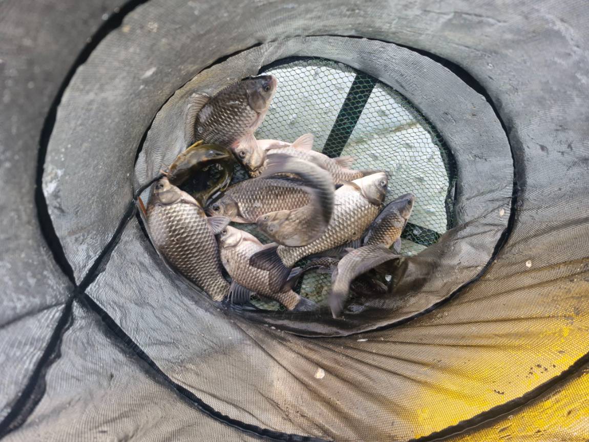 20260314_082715 (1).jpg