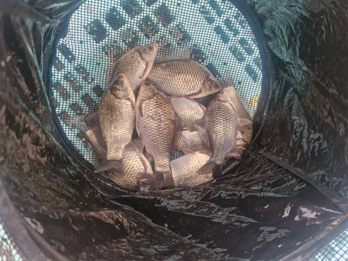 20260315_082149 (1).jpg