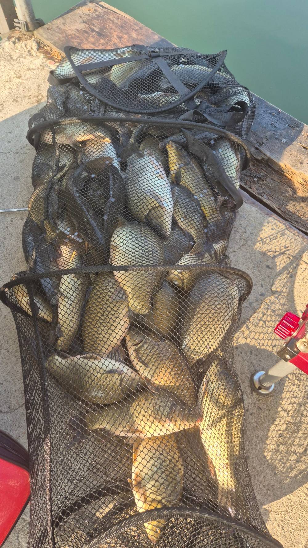 1280��20260317��162900 (1).jpg