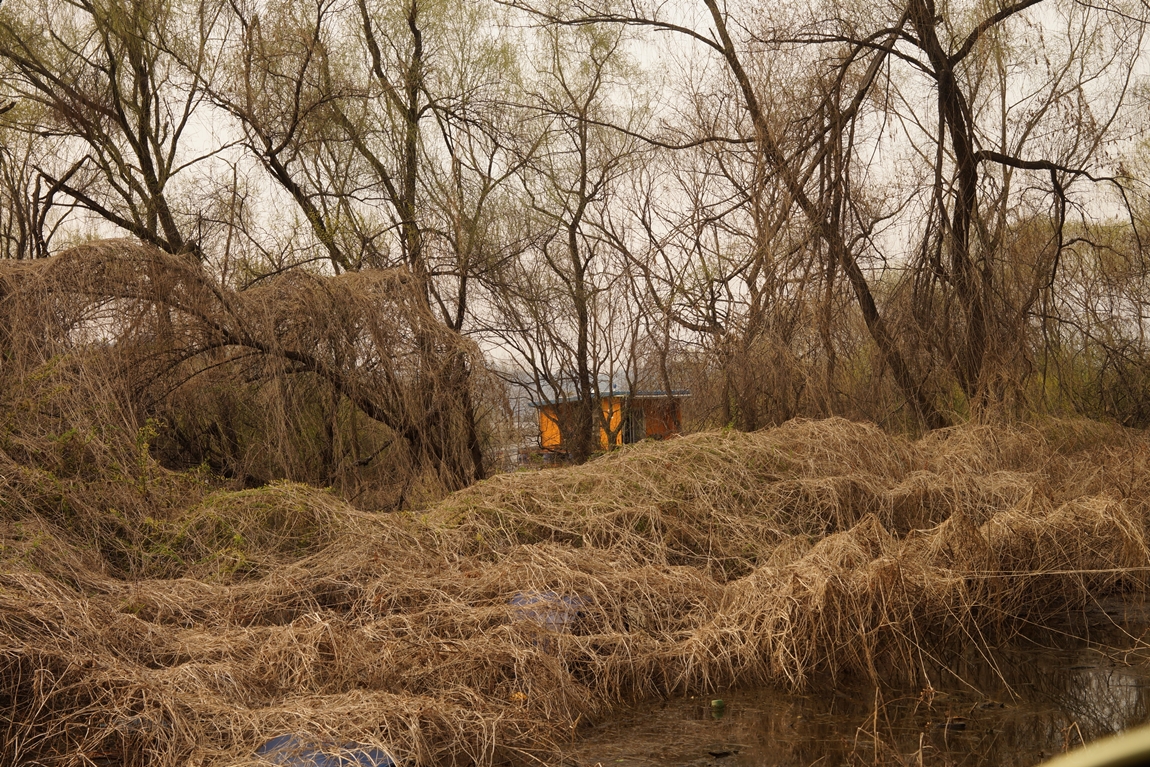 어비리500번지 졍글숲