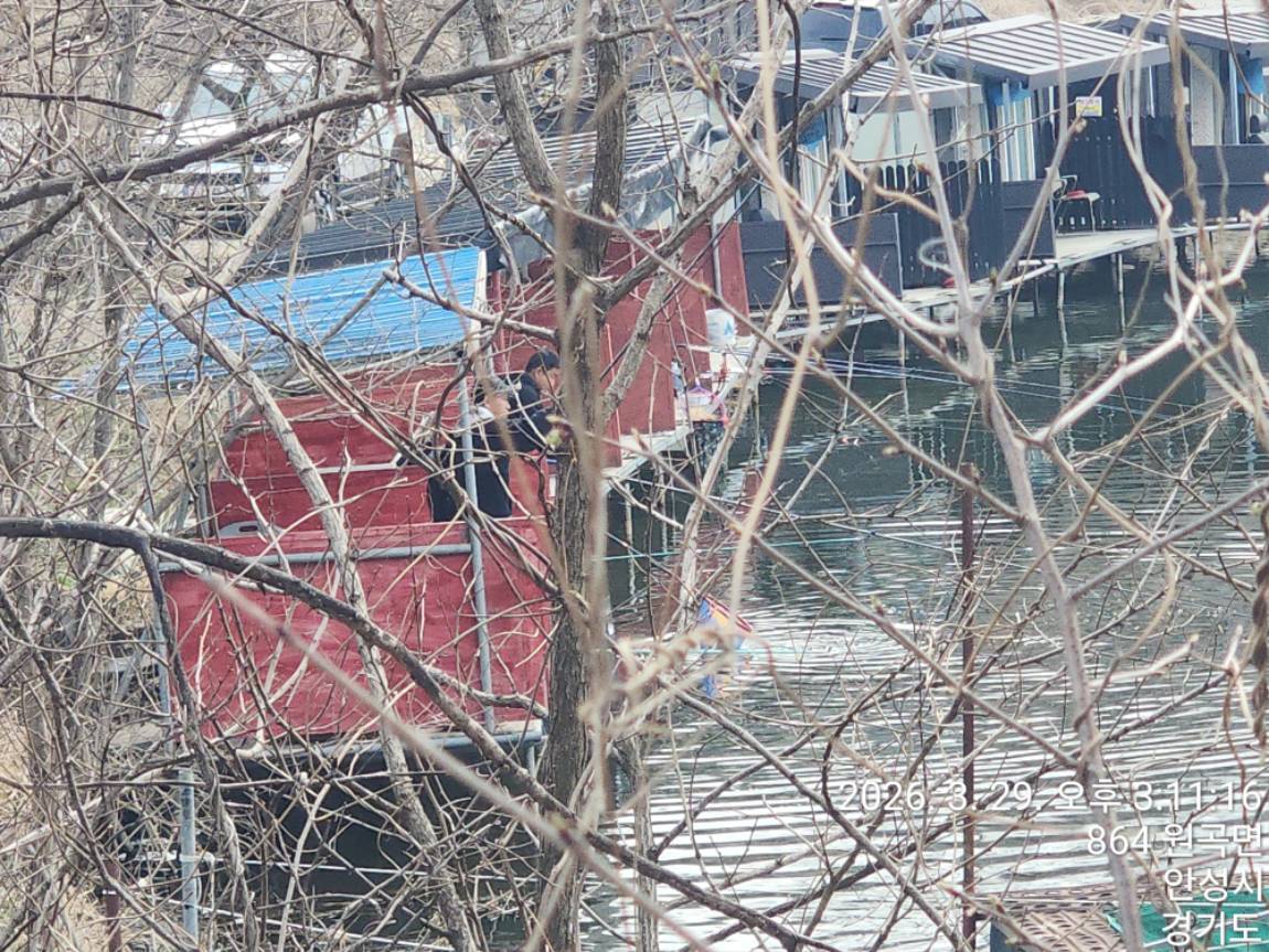 메기 장어 입질 가세