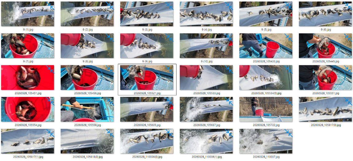 �̹��� 2.png