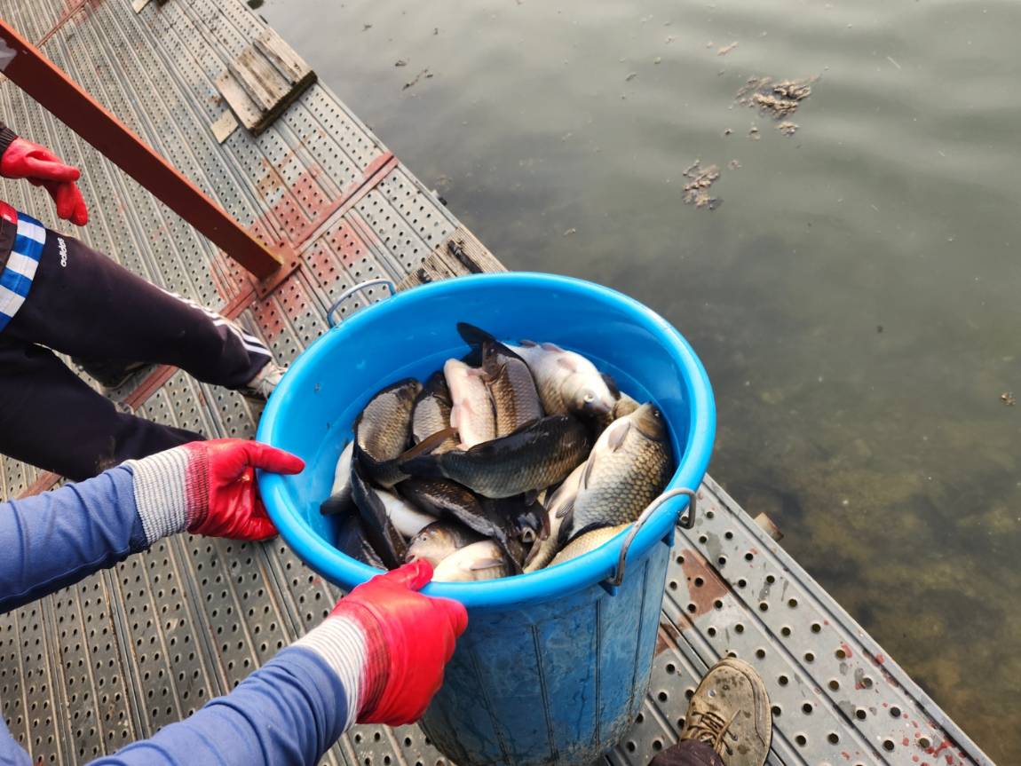 KakaoTalk_20260403_180748756_13 (1).jpg