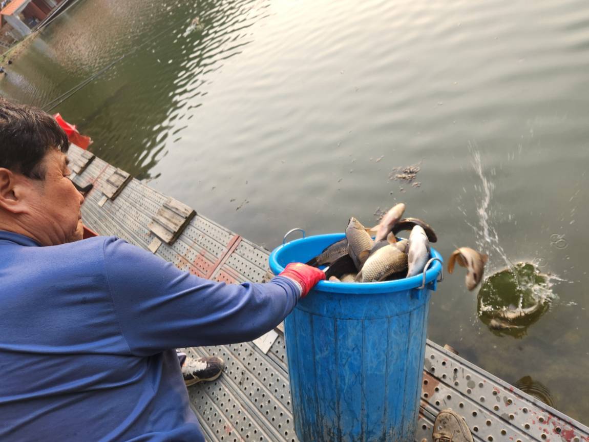 KakaoTalk_20260403_180748756_12 (2).jpg