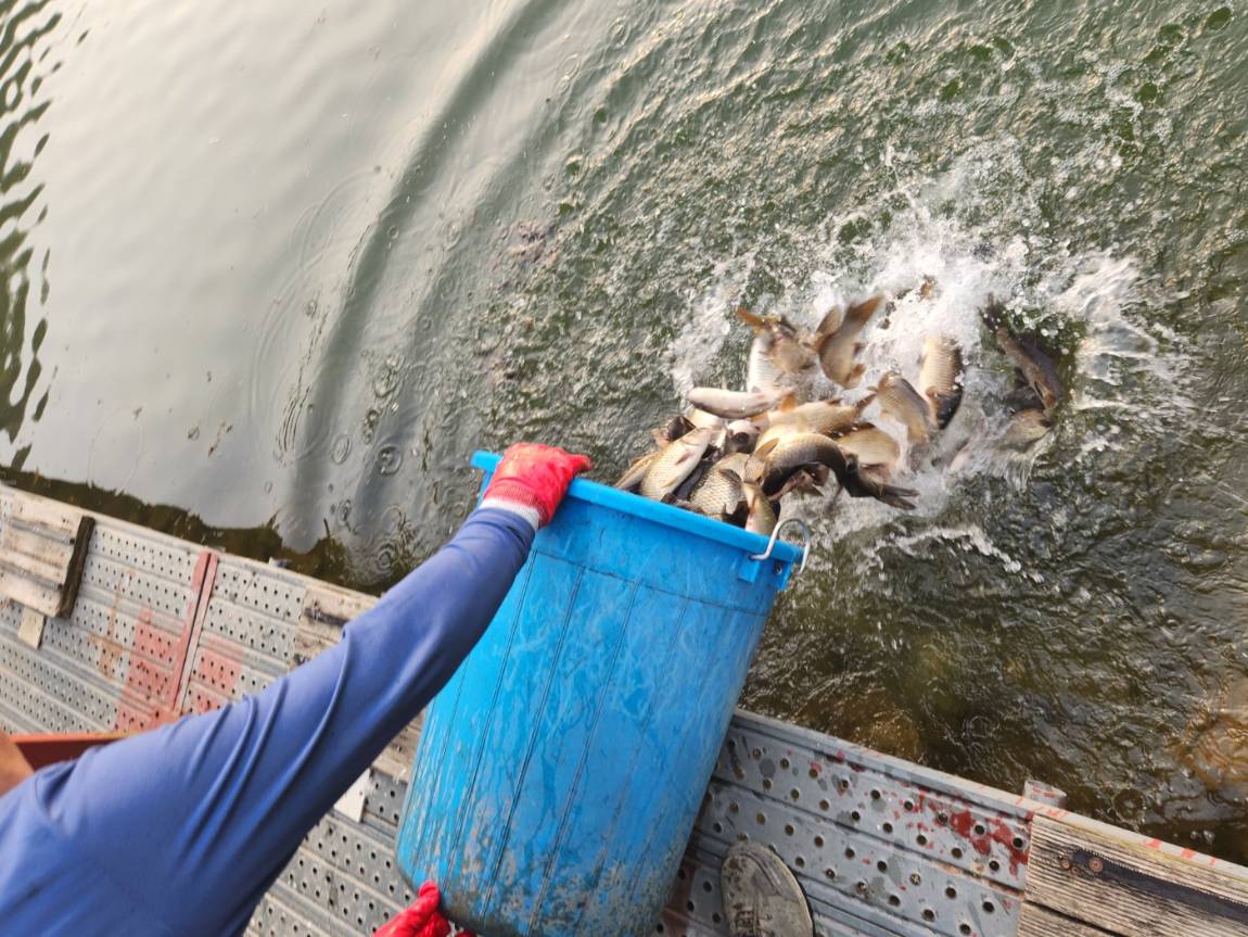 KakaoTalk_20260403_180748756_08 (2).jpg