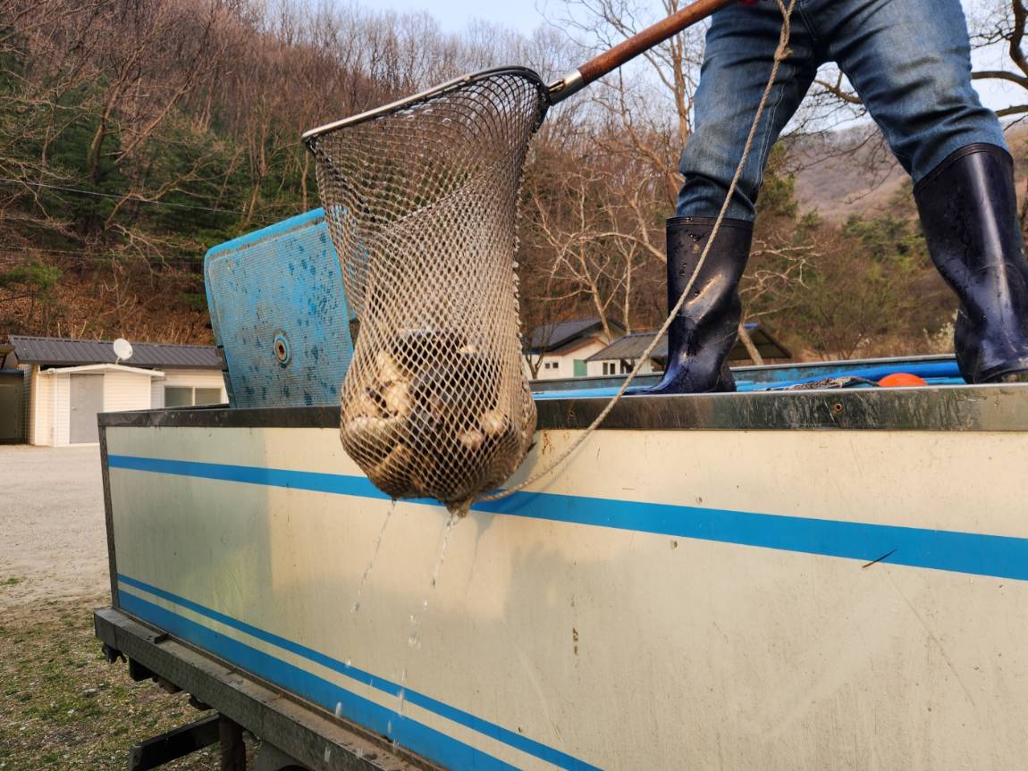 KakaoTalk_20260403_180748756_01 (1).jpg