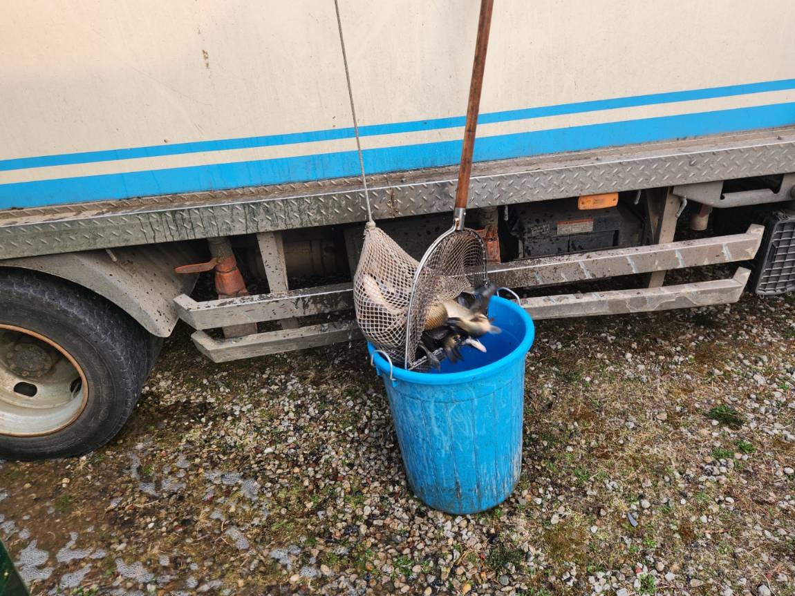 KakaoTalk_20260403_180748756_04 (2).jpg