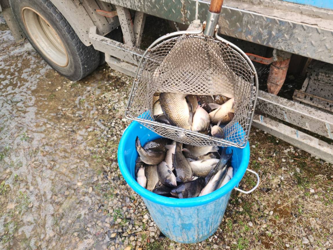 KakaoTalk_20260403_180748756_17 (1).jpg