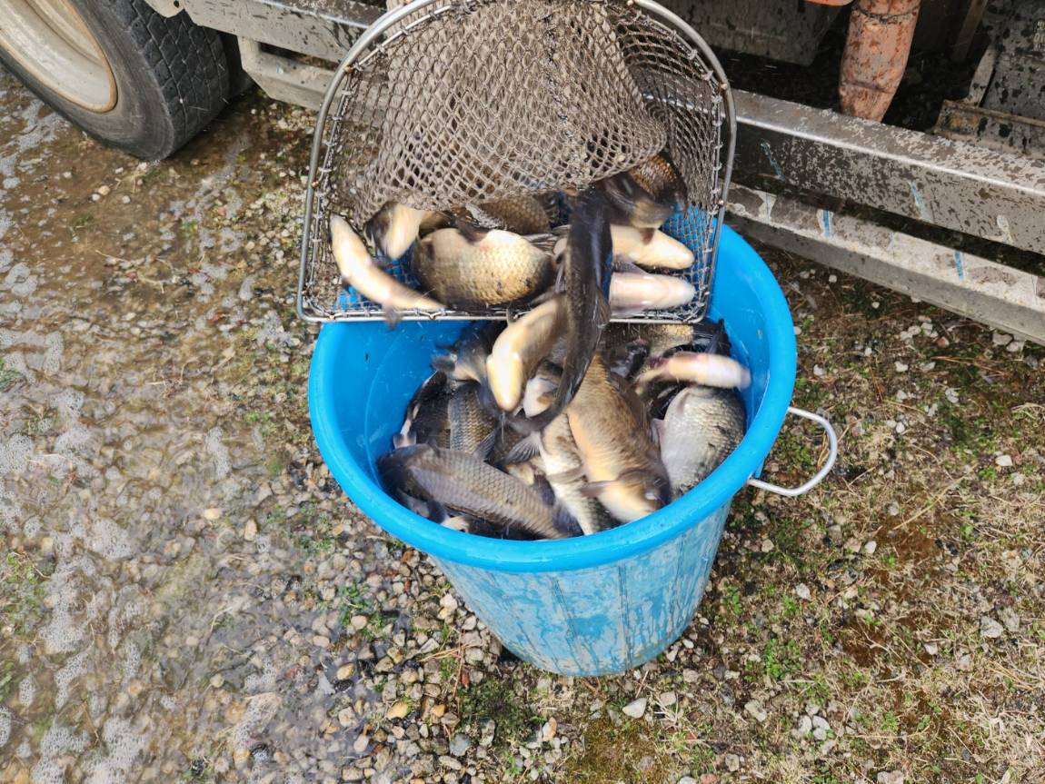 KakaoTalk_20260403_180748756_16 (2).jpg