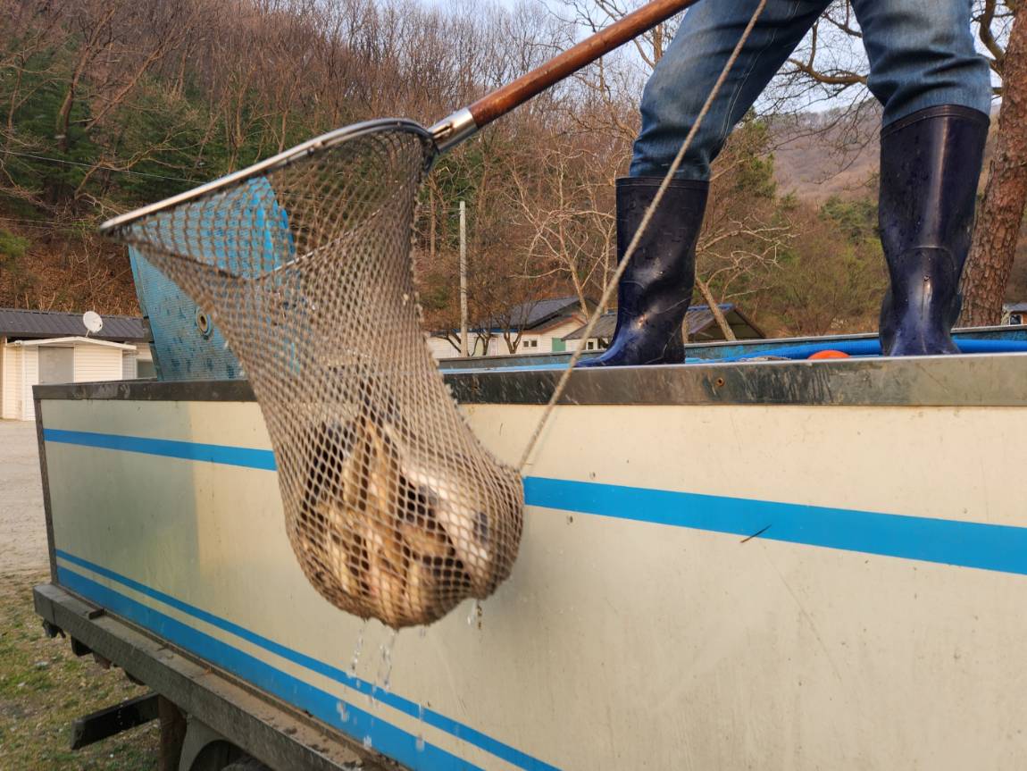 KakaoTalk_20260403_180748756_18 (1).jpg