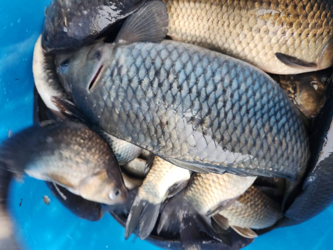 KakaoTalk_20260403_180748756_26 (1).jpg