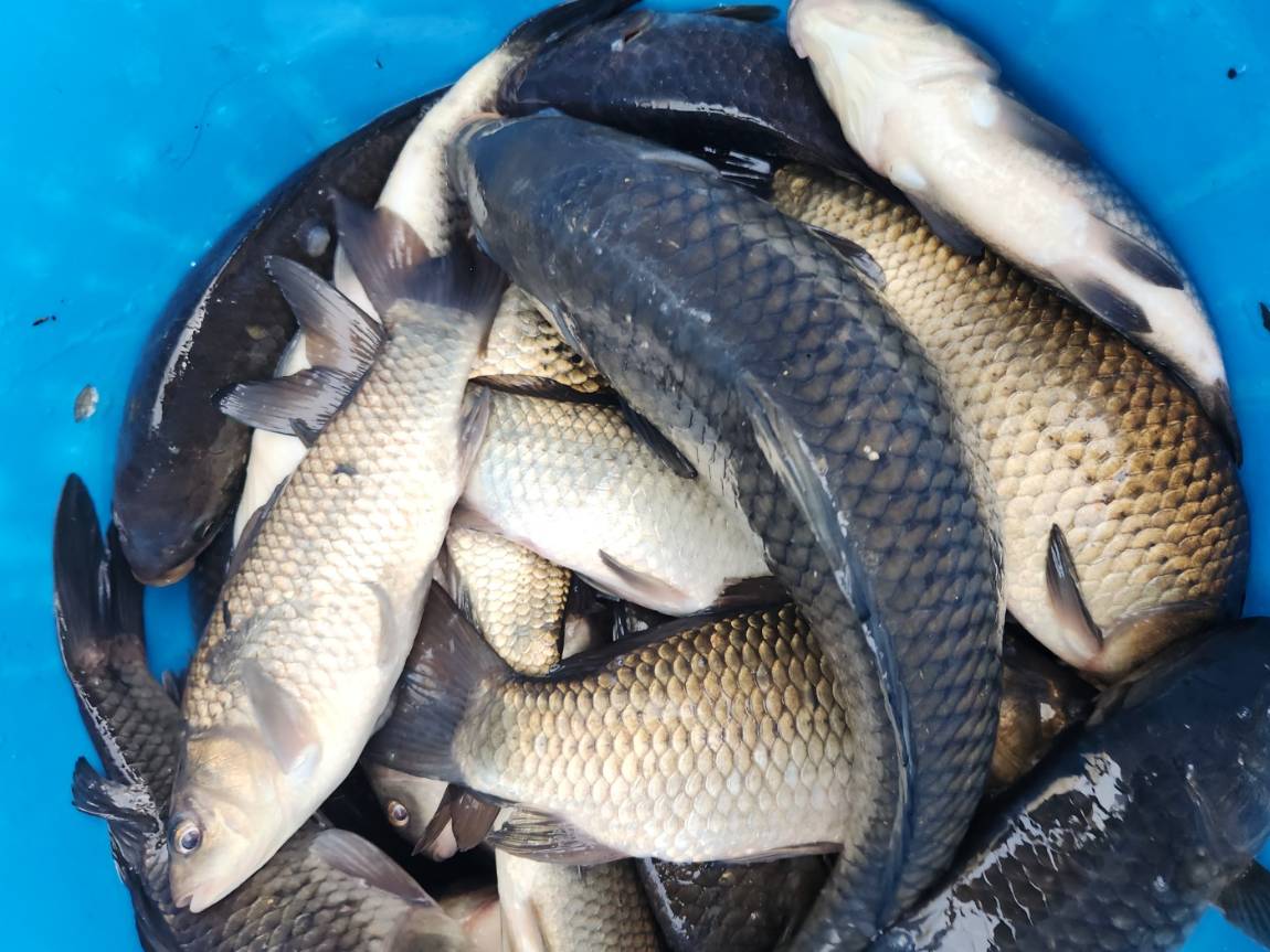 KakaoTalk_20260403_180748756_27 (1).jpg