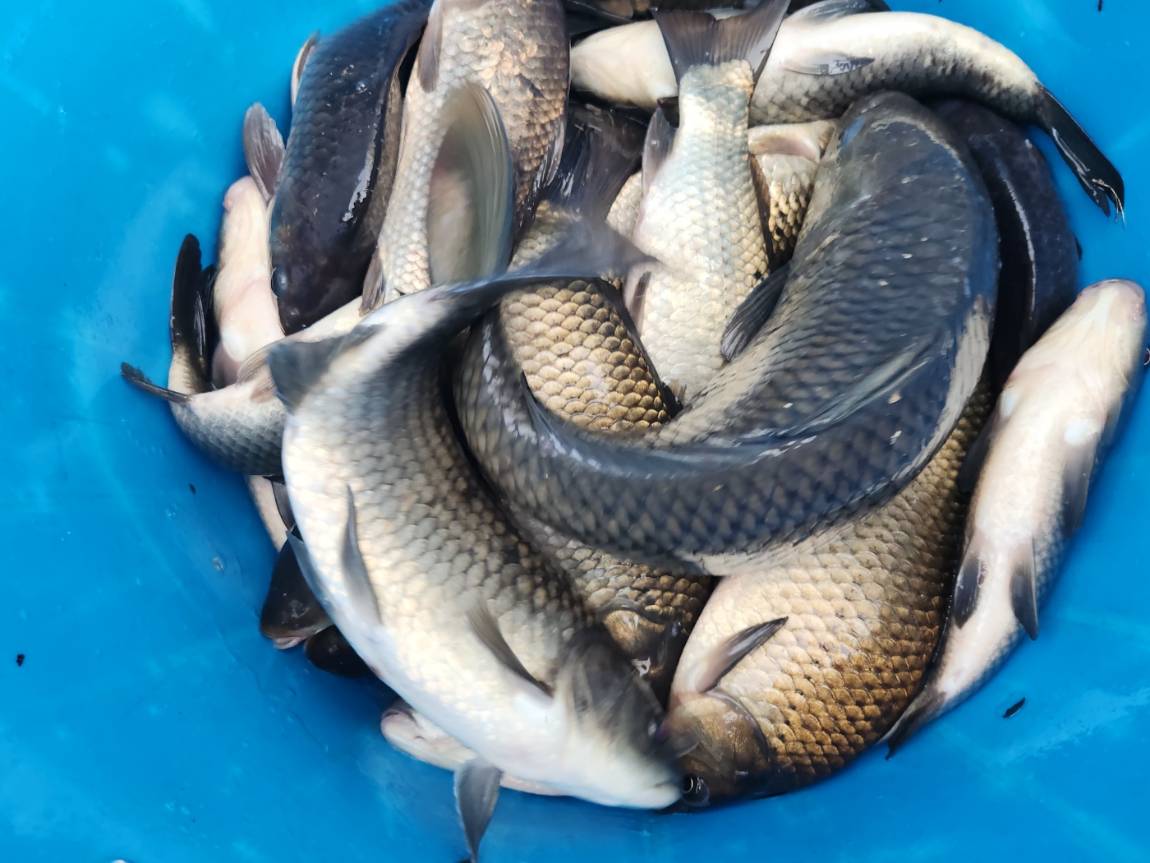 KakaoTalk_20260403_180748756_28 (2).jpg