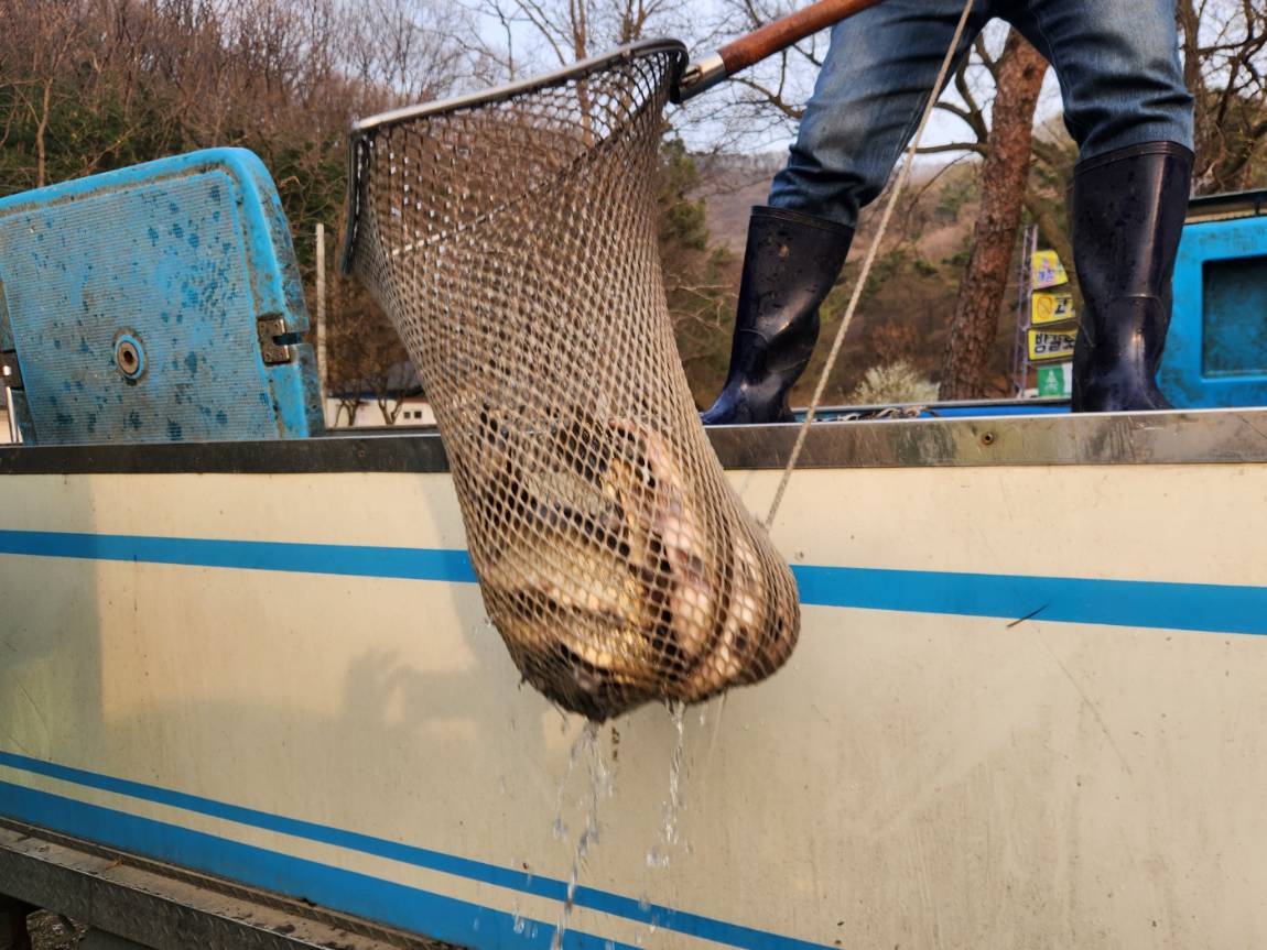 KakaoTalk_20260403_180748756_21 (2).jpg