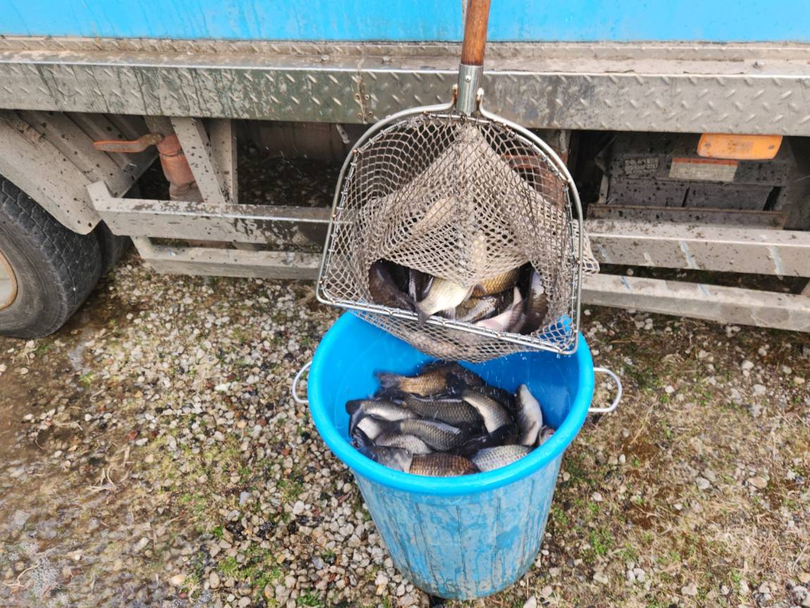 KakaoTalk_20260403_180748756_22 (2).jpg