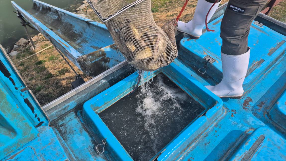 4 월 6일 안성 거청낚시터  조황