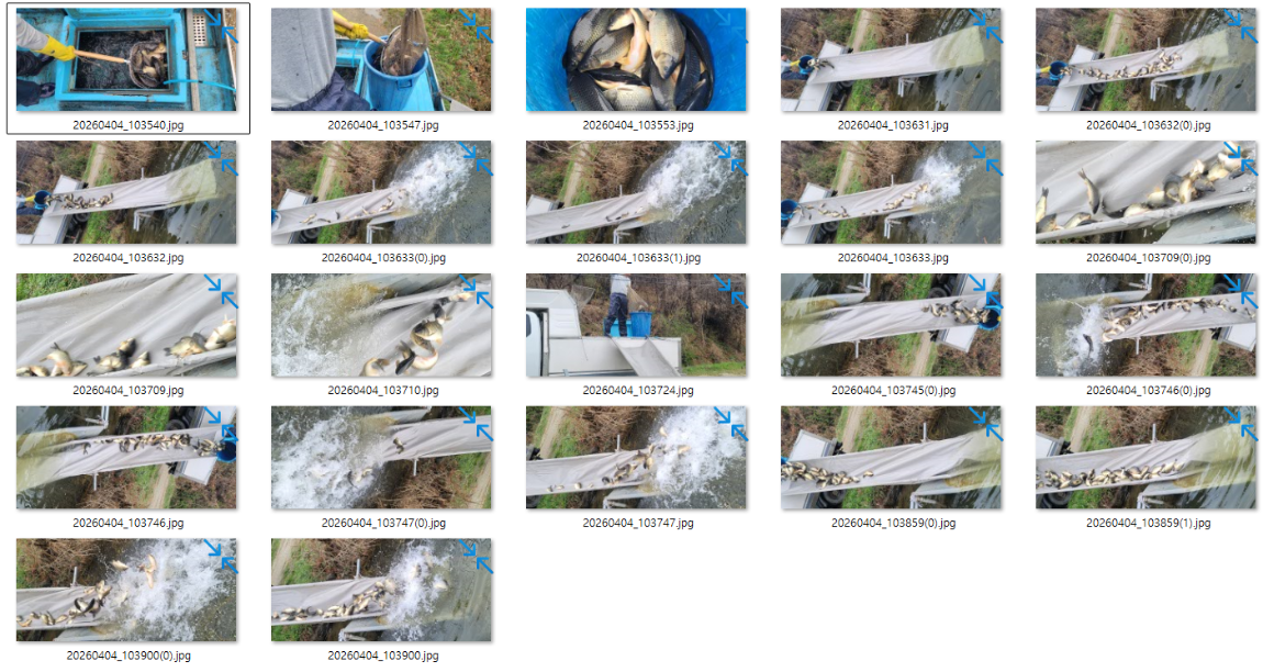 �̹��� 1.png