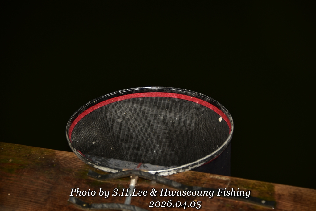 LEE_2954.JPG