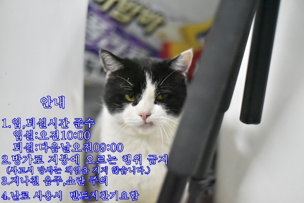 LEE_00410.JPG