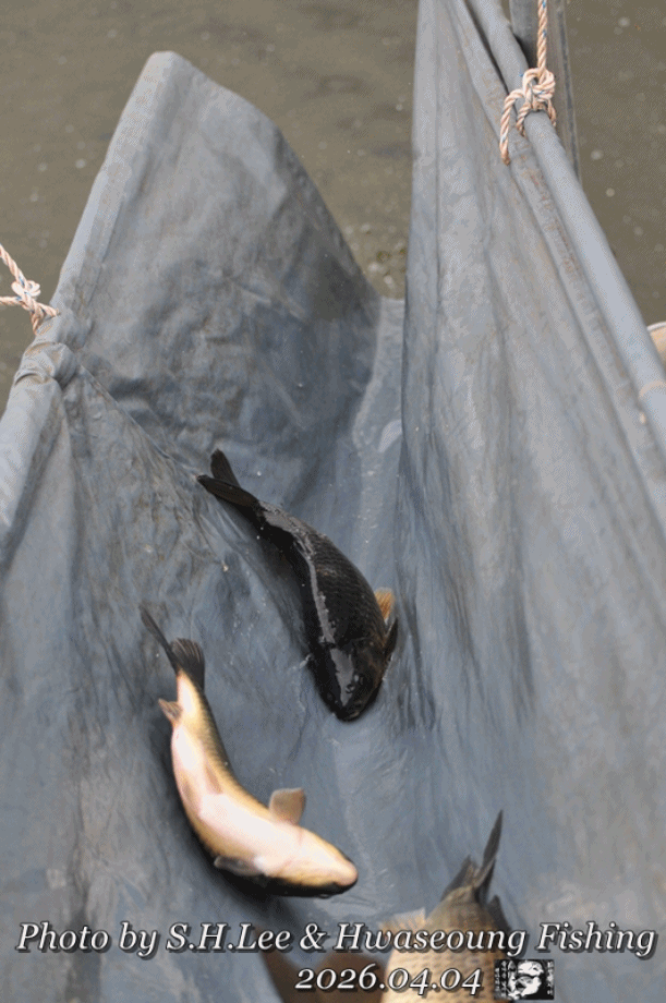 anigif1.gif