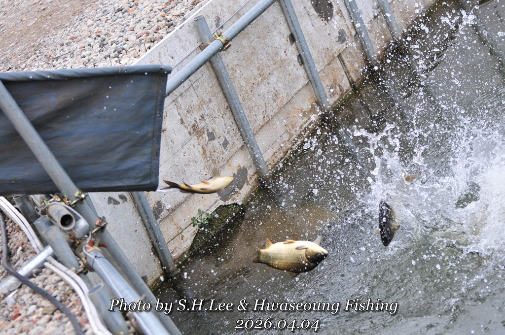 LSH_4925.JPG
