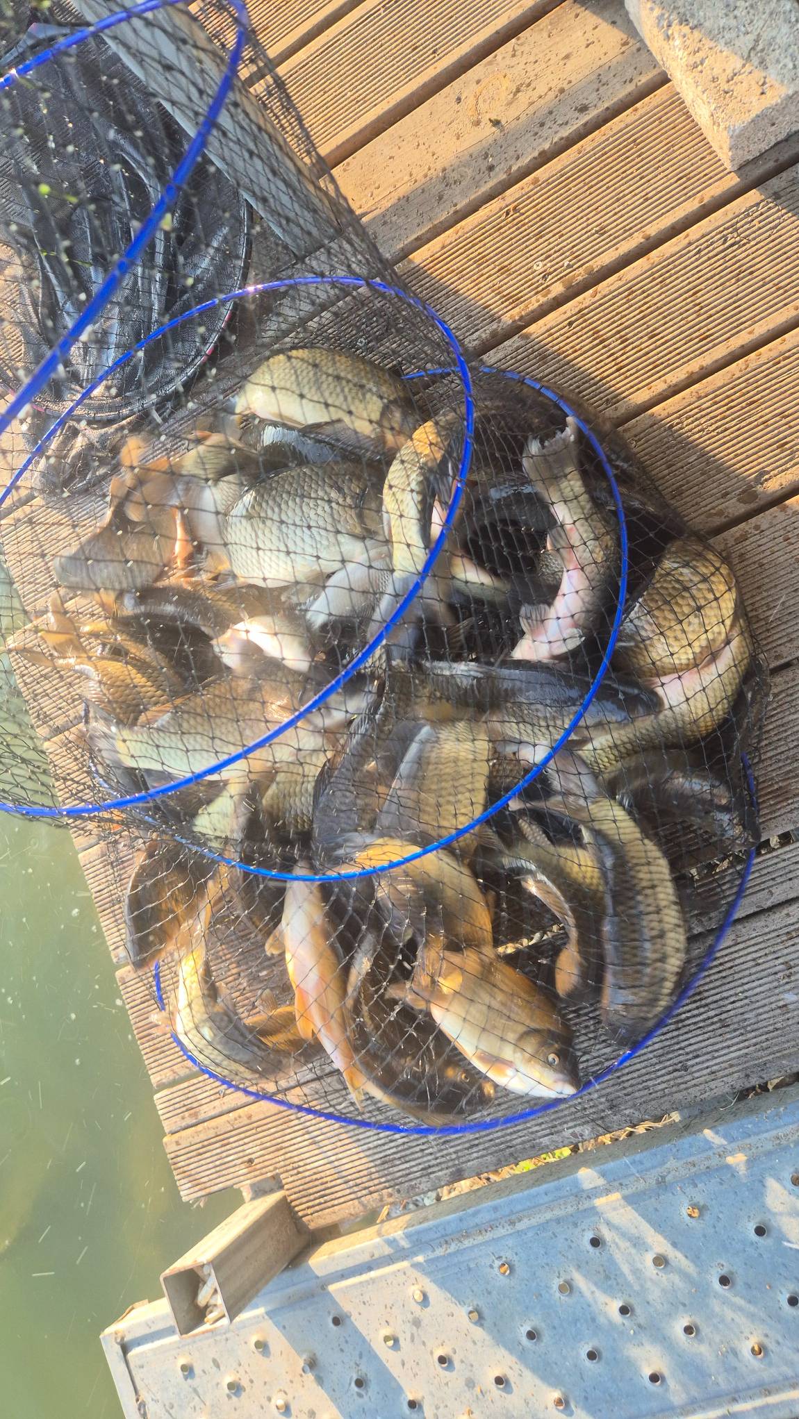 4 월 8일 안성 거청낚시터  조황