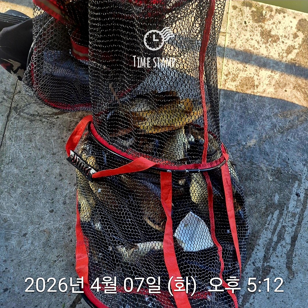1775550369331.jpg
