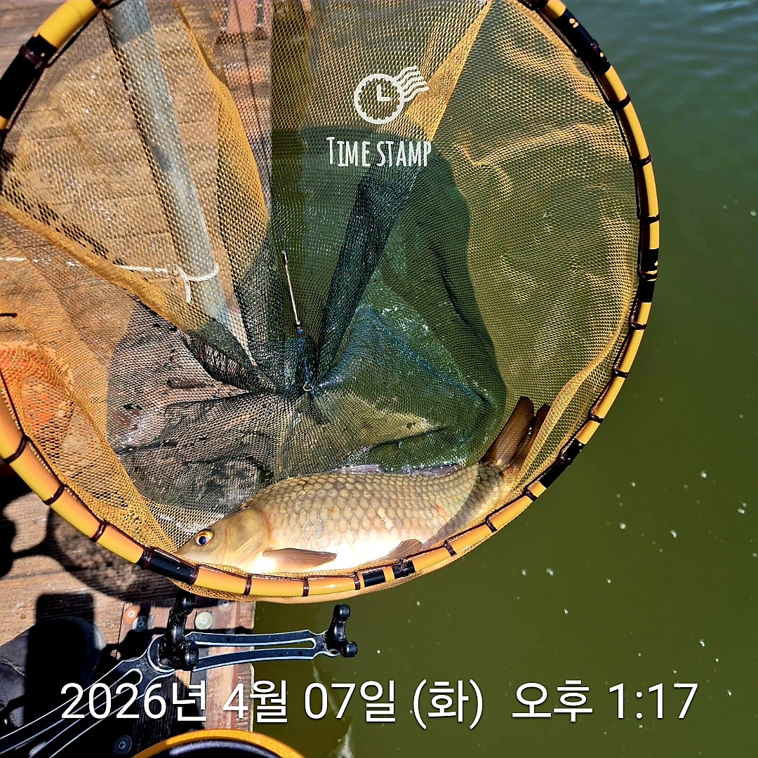 1775550370056.jpg