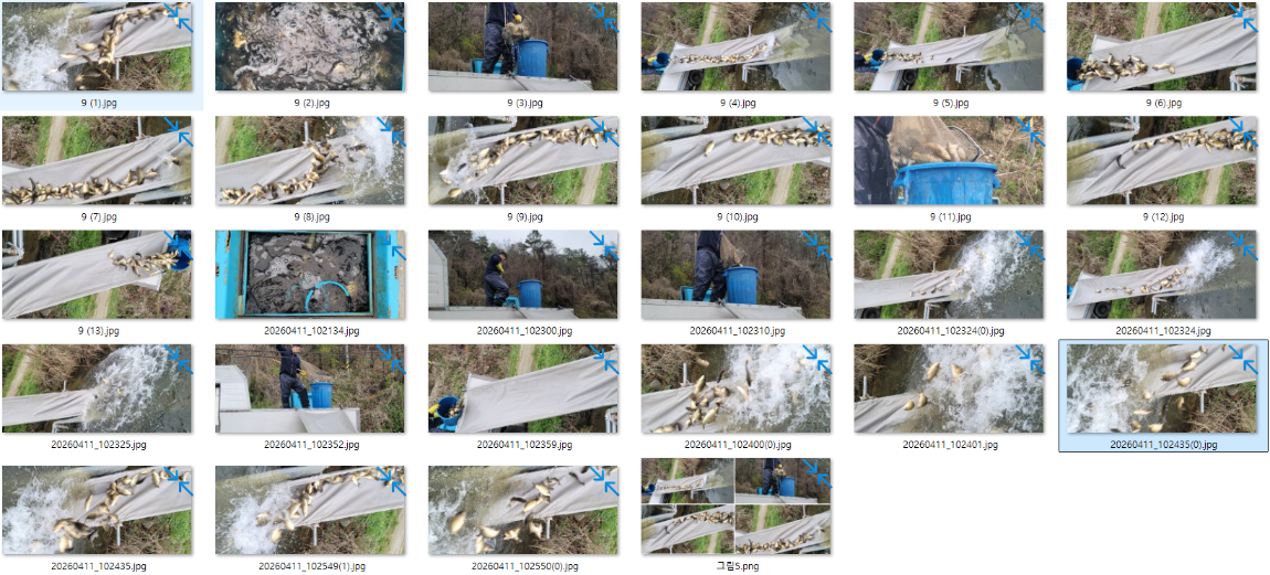 �̹��� 1.png