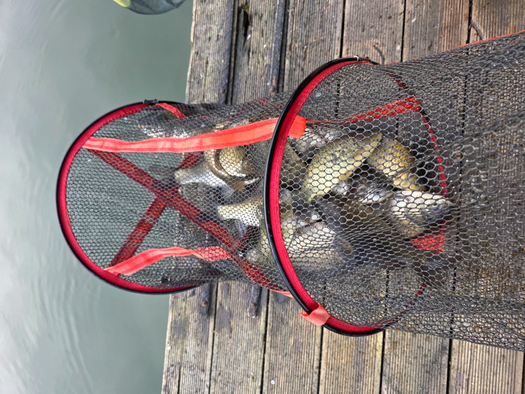 KakaoTalk_20260415_070440120_08 (1)[edit].jpg