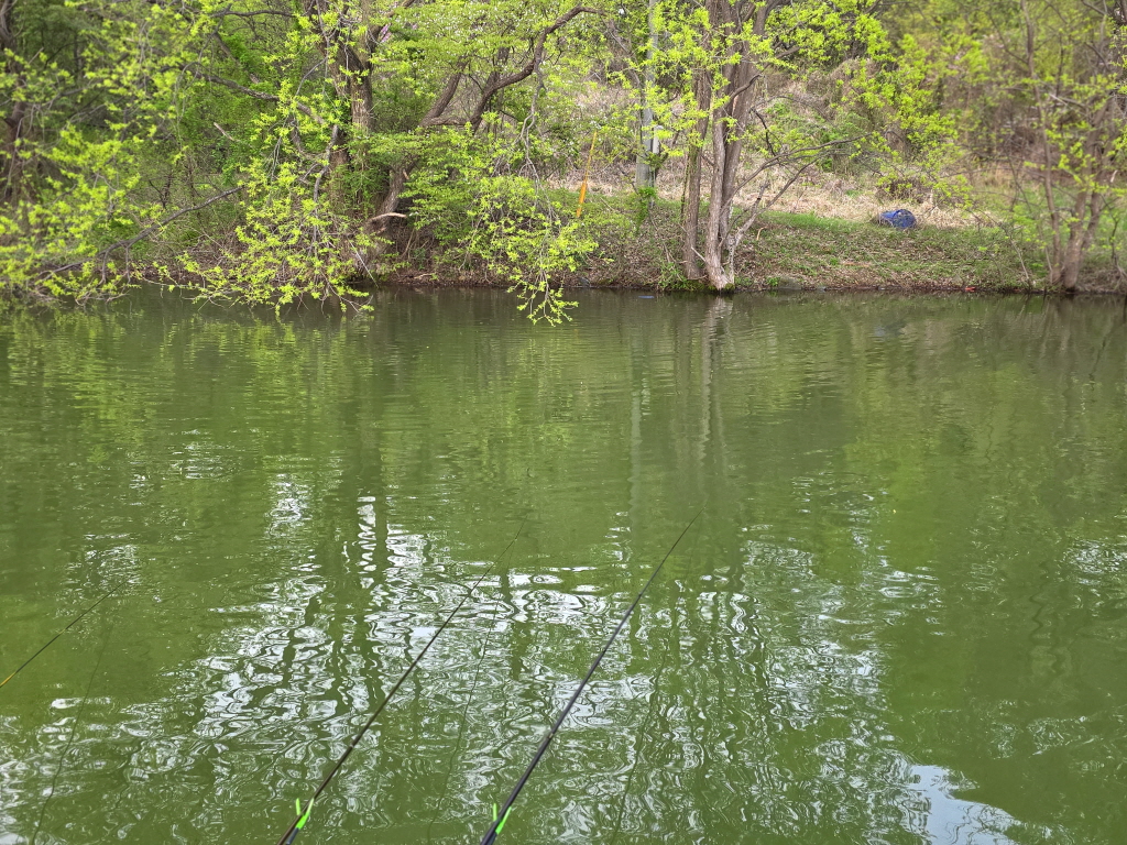 KakaoTalk_20260415_070440120_09 (1)[edit].jpg