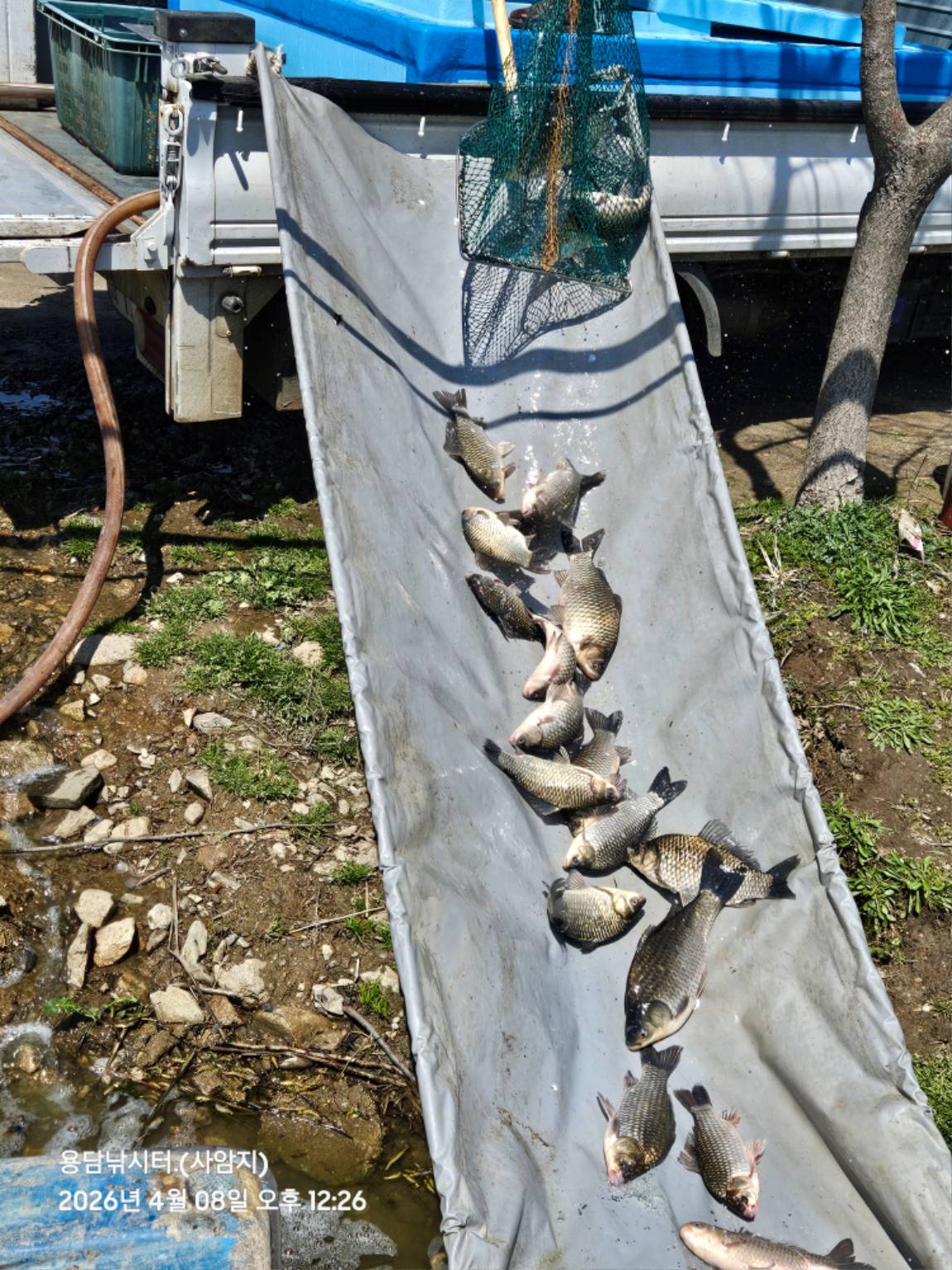 20260408_122643 (1).jpg