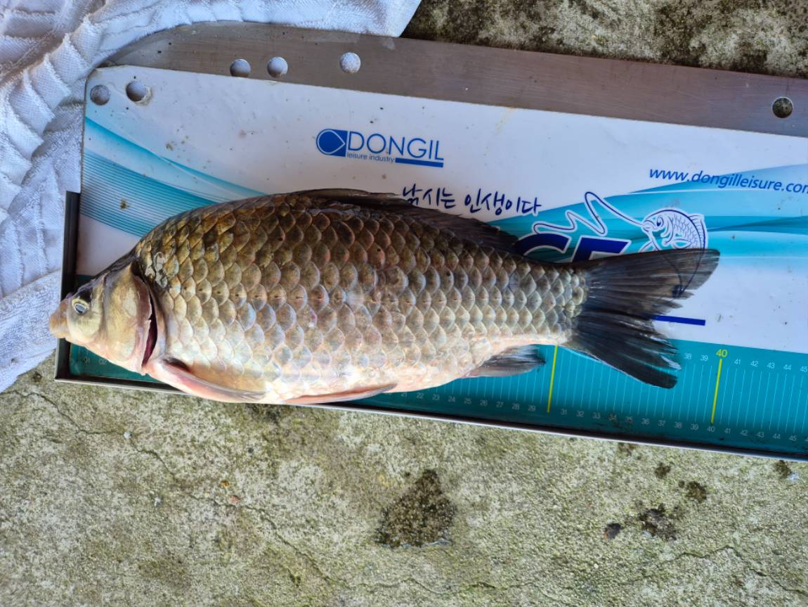 20251129_140251 - ���纻.jpg