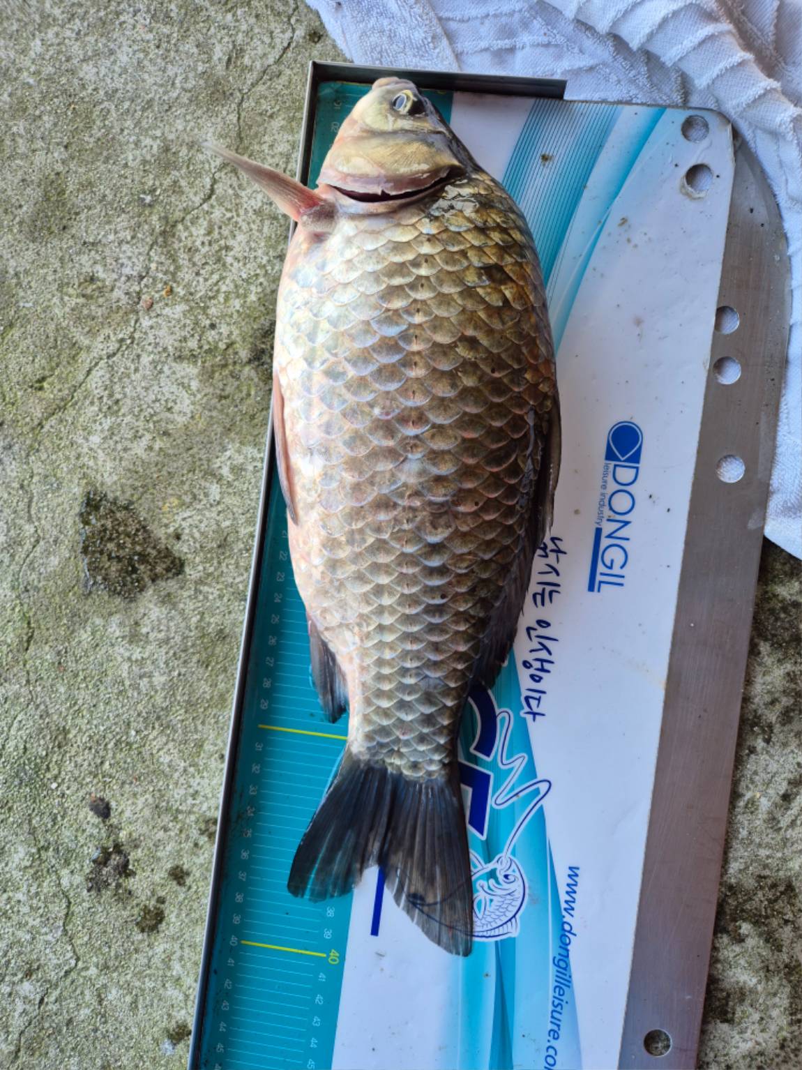 20251129_140252 - ���纻.jpg