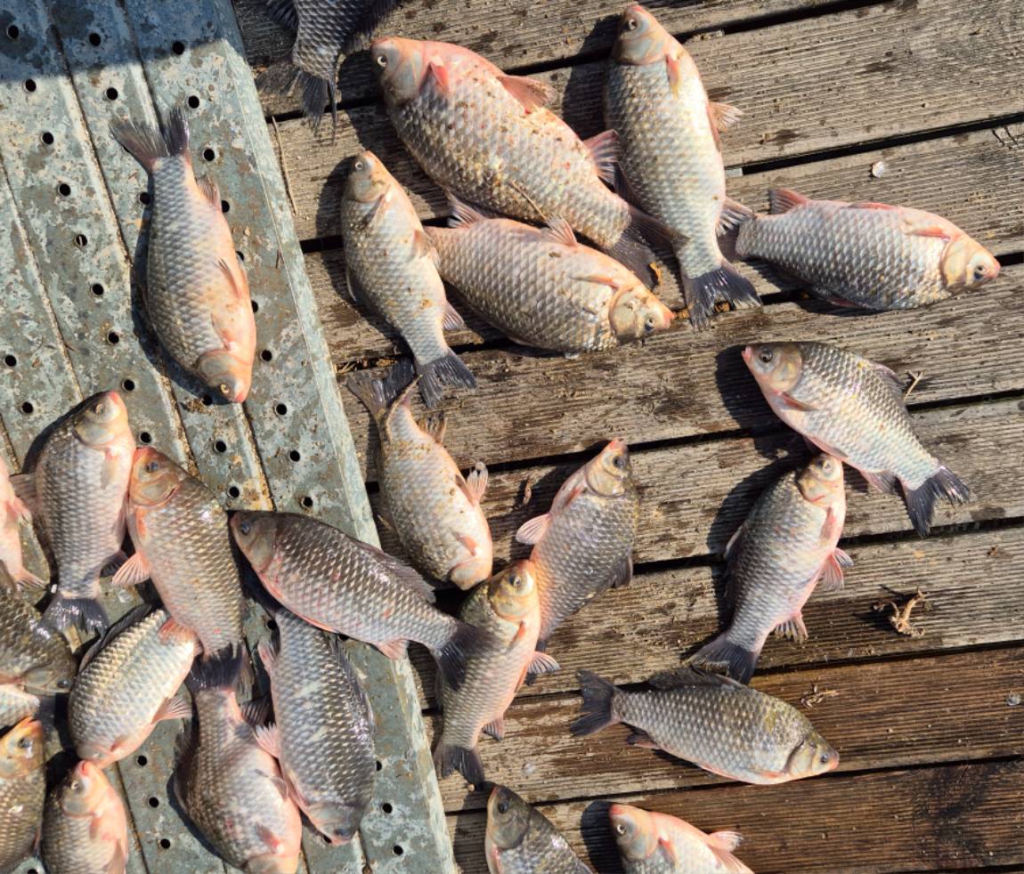 20260228_104403 - ���纻.jpg