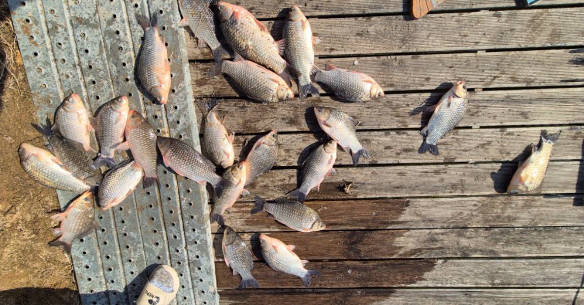 20260228_104408 - ���纻.jpg