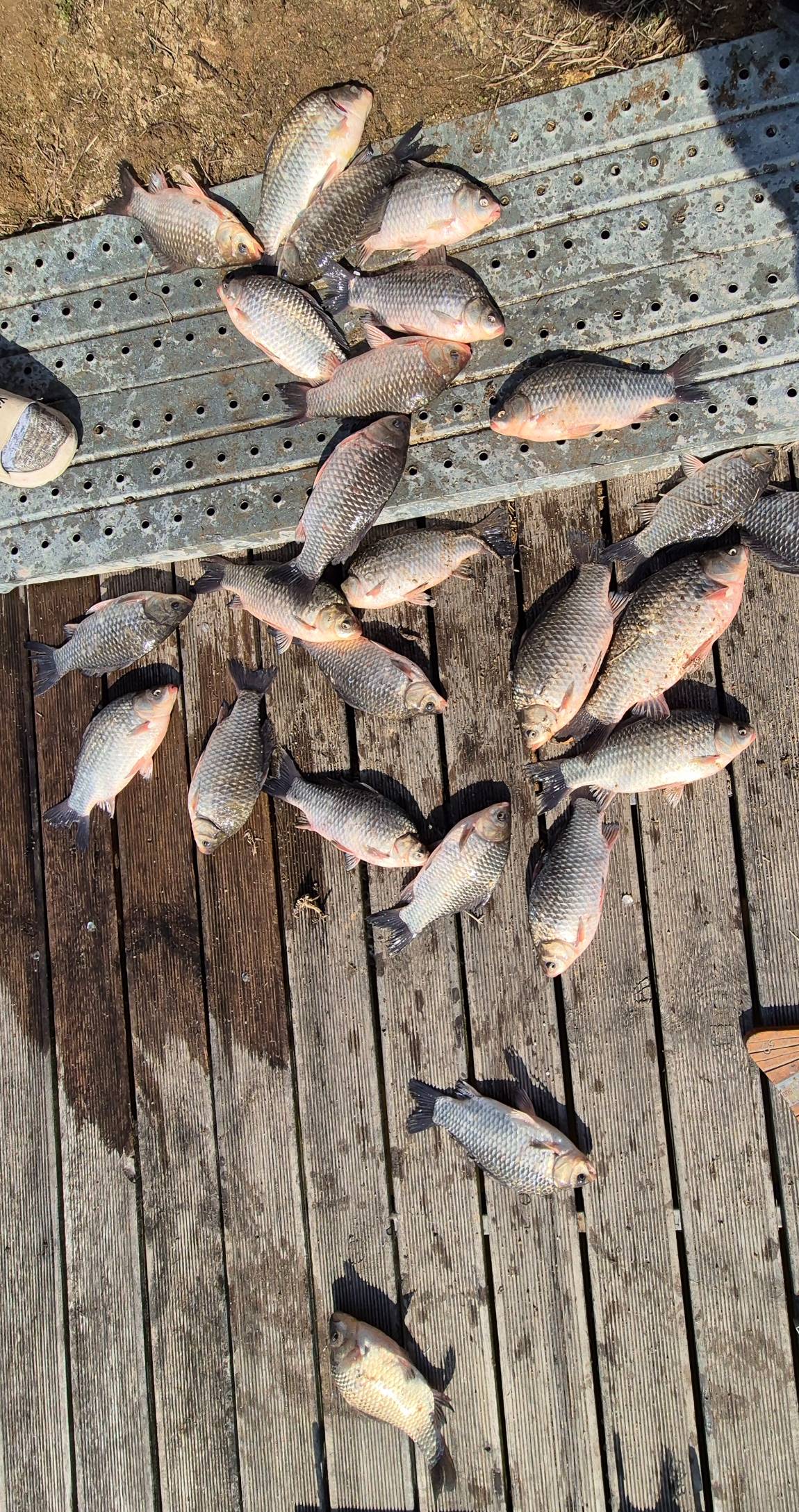 20260228_104409 - ���纻.jpg